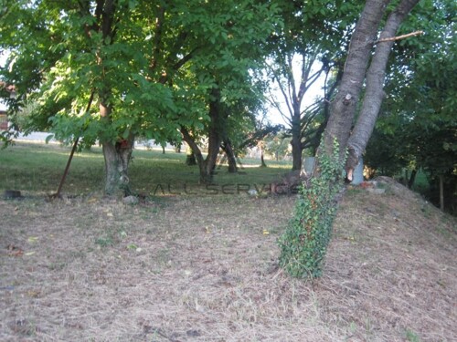 Građevinsko zemljište sa kućom( max 1600 BRP) , Orehovečki