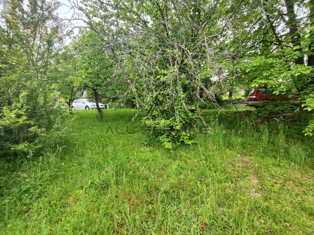 Image 6359967 - 6