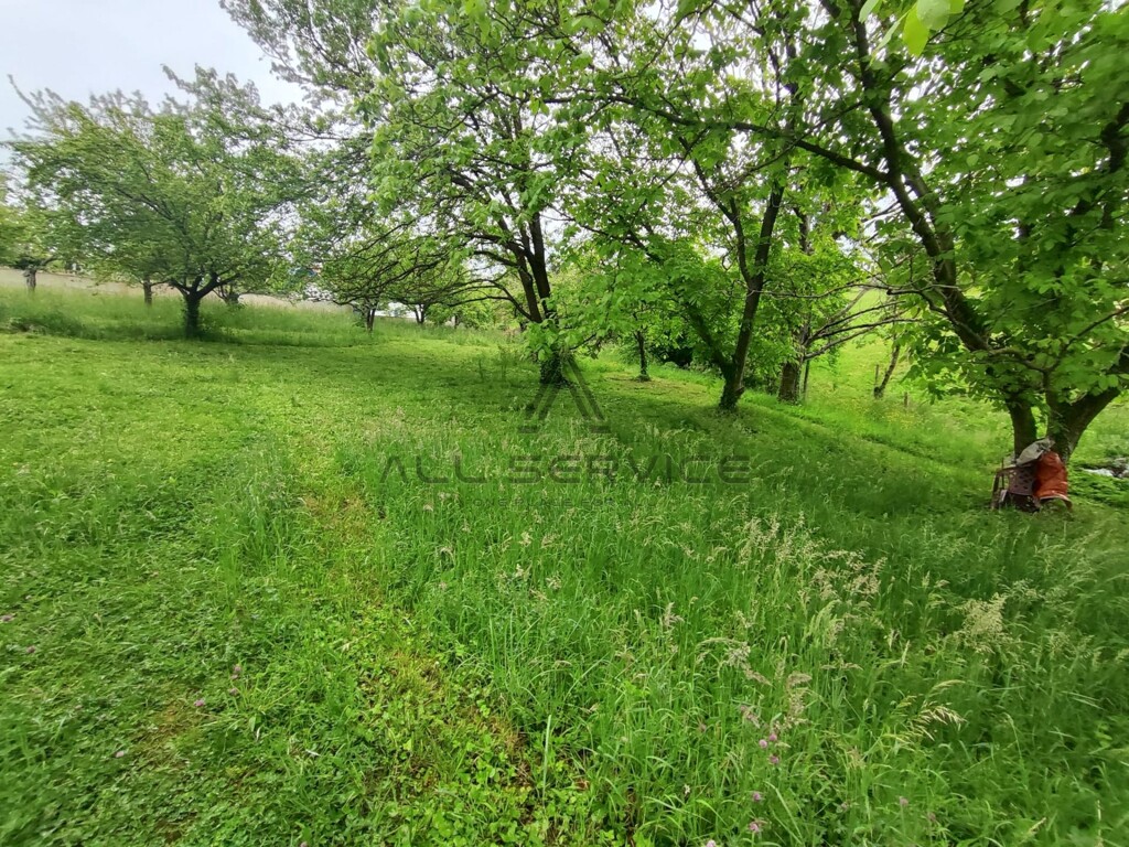 Image 6359967 - 7