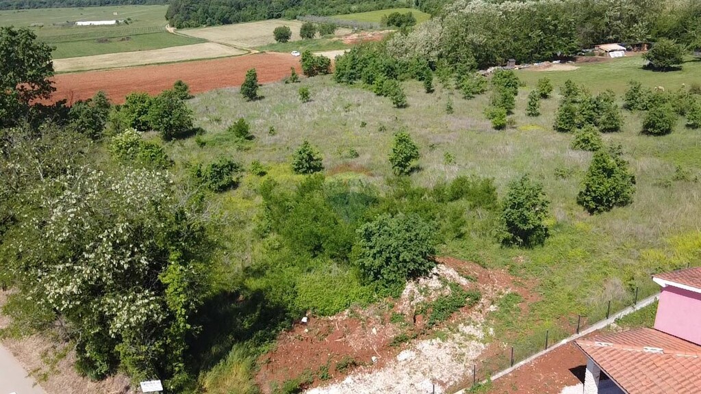 Image 6359969 - 2