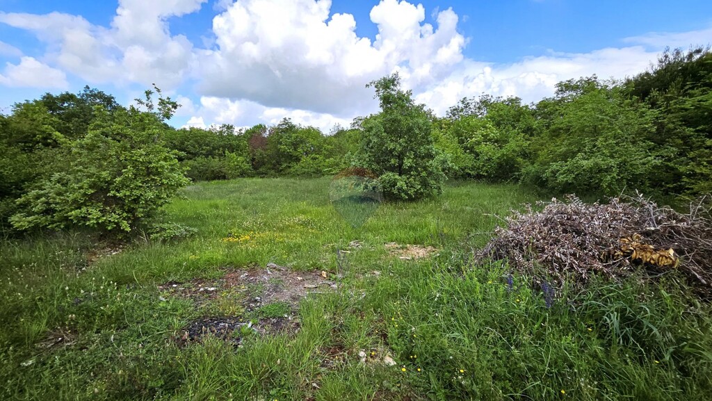 Image 6359978 - 4