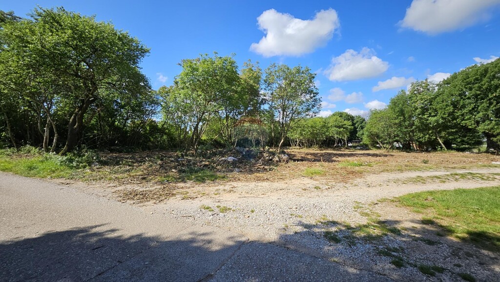 Image 6359978 - 1