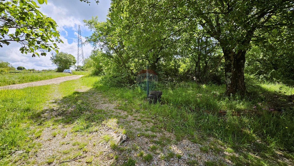 Image 6359978 - 6