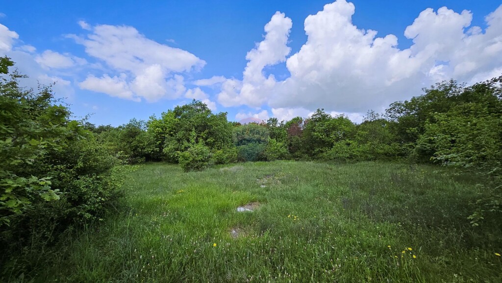Image 6359978 - 5