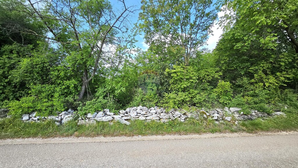 Image 6359978 - 8