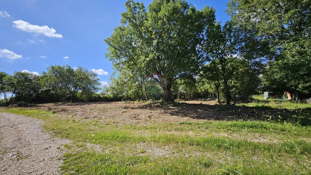 Image 6359978 - 2