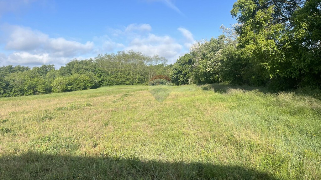 Image 6359979 - 3