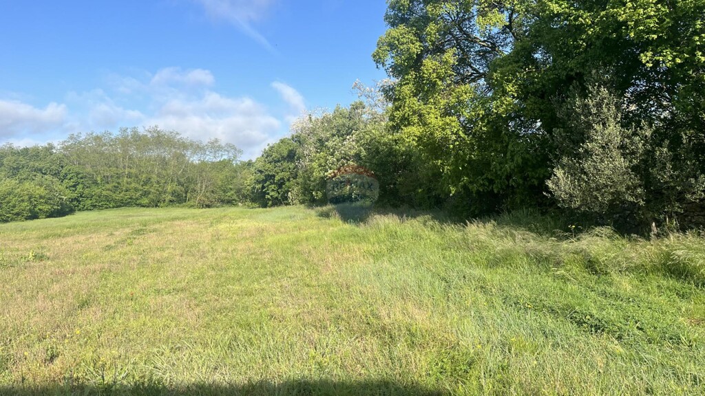 Image 6359979 - 4