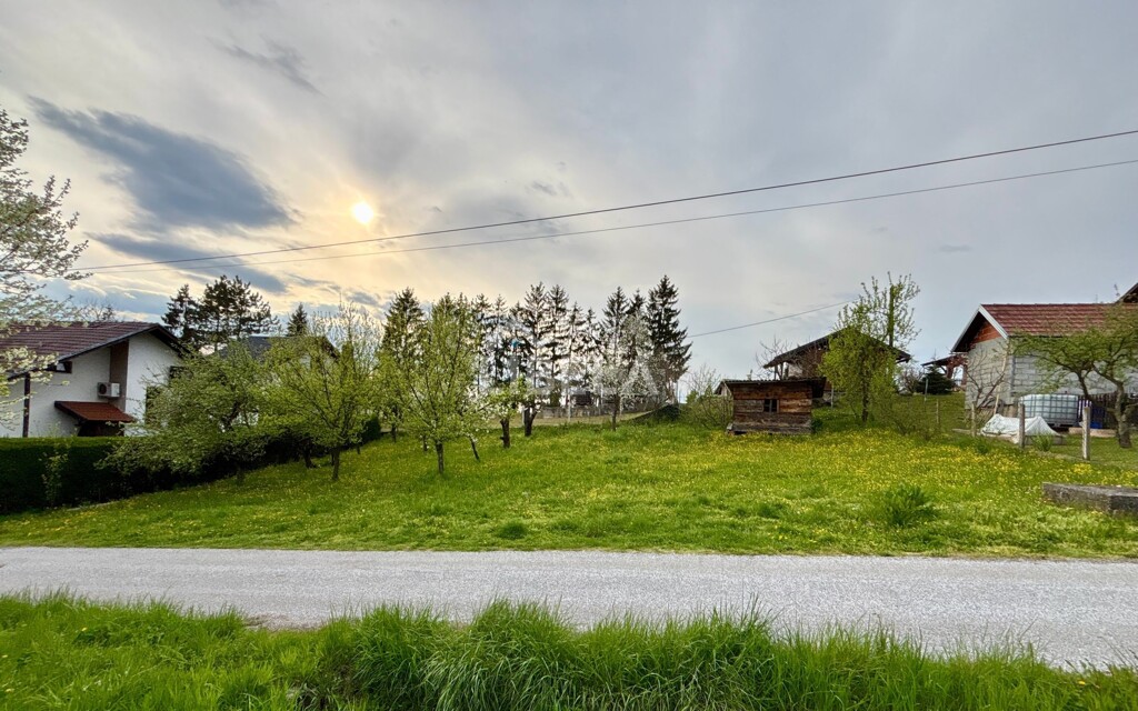 Image 6359987 - 1
