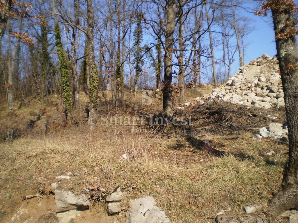 Image 6360075 - 2