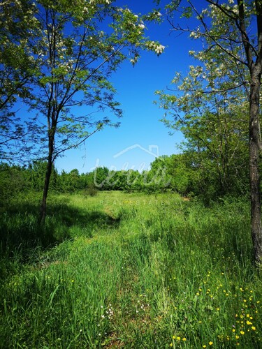 Thumbnail 6360076 - 3