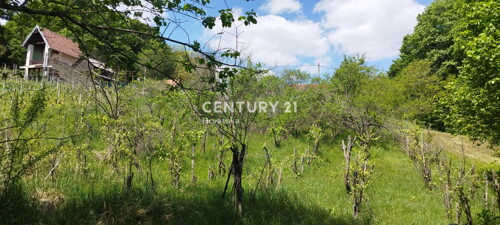 Thumbnail 6360080 - 4