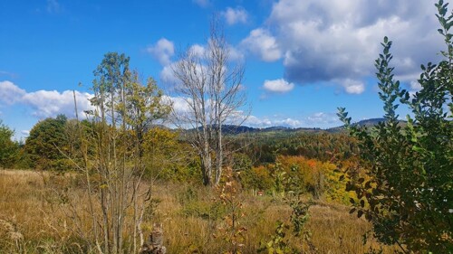 Gorski kotar, Ravna Gora, zemljište s pogledom