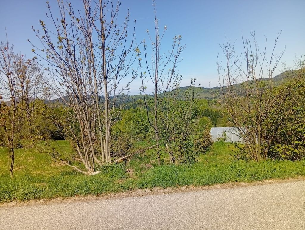 Image 6360127 - 3