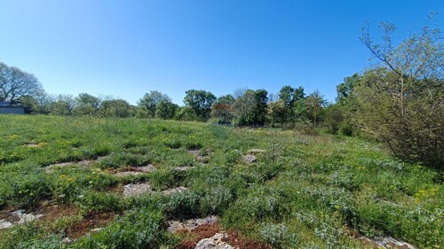 Thumbnail 6360167 - 6