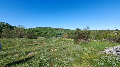 Thumbnail 6360167 - 5