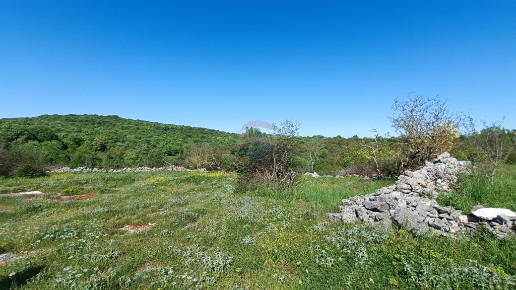 Image 6360167 - 3