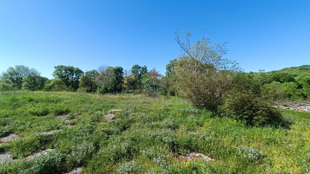 Image 6360167 - 7