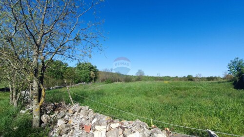 Thumbnail 6360168 - 3