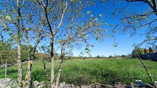 Thumbnail 6360168 - 4