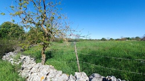 Thumbnail 6360168 - 5