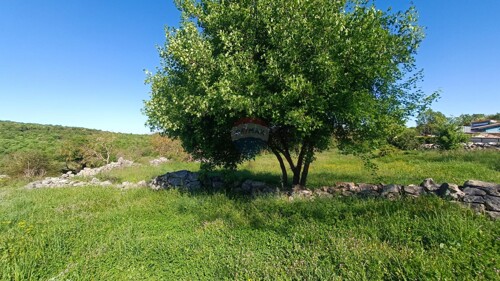Thumbnail 6360169 - 5
