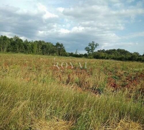 Istra - Svetvinčenat