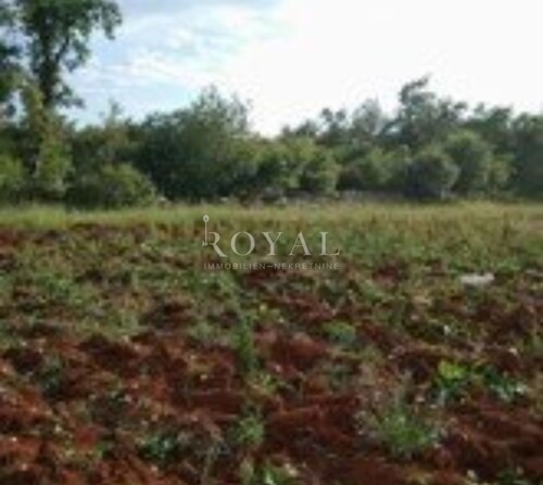 Istra - Svetvinčenat