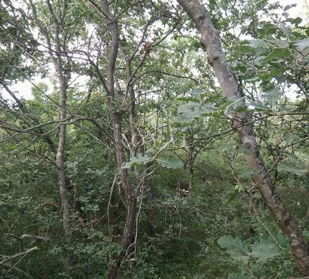 Image 6360261 - 2