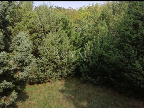 Thumbnail 6360262 - 4