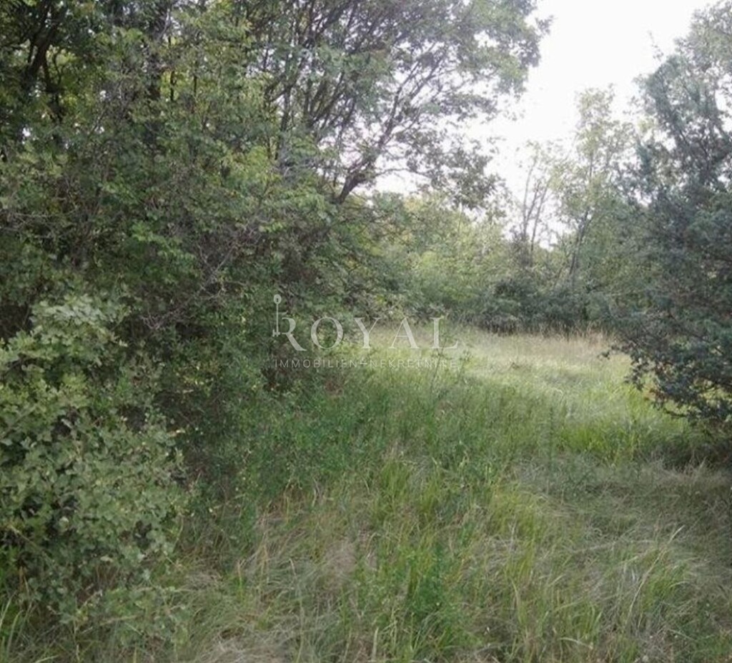 Image 6360263 - 5