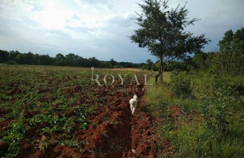 Istra - Svetvinčenat