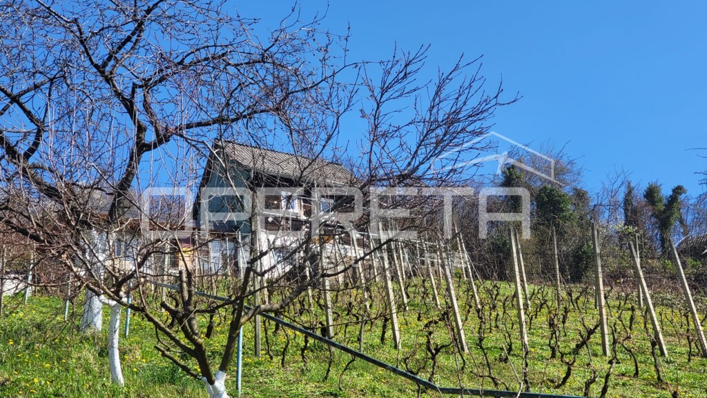 Image 6360264 - 2