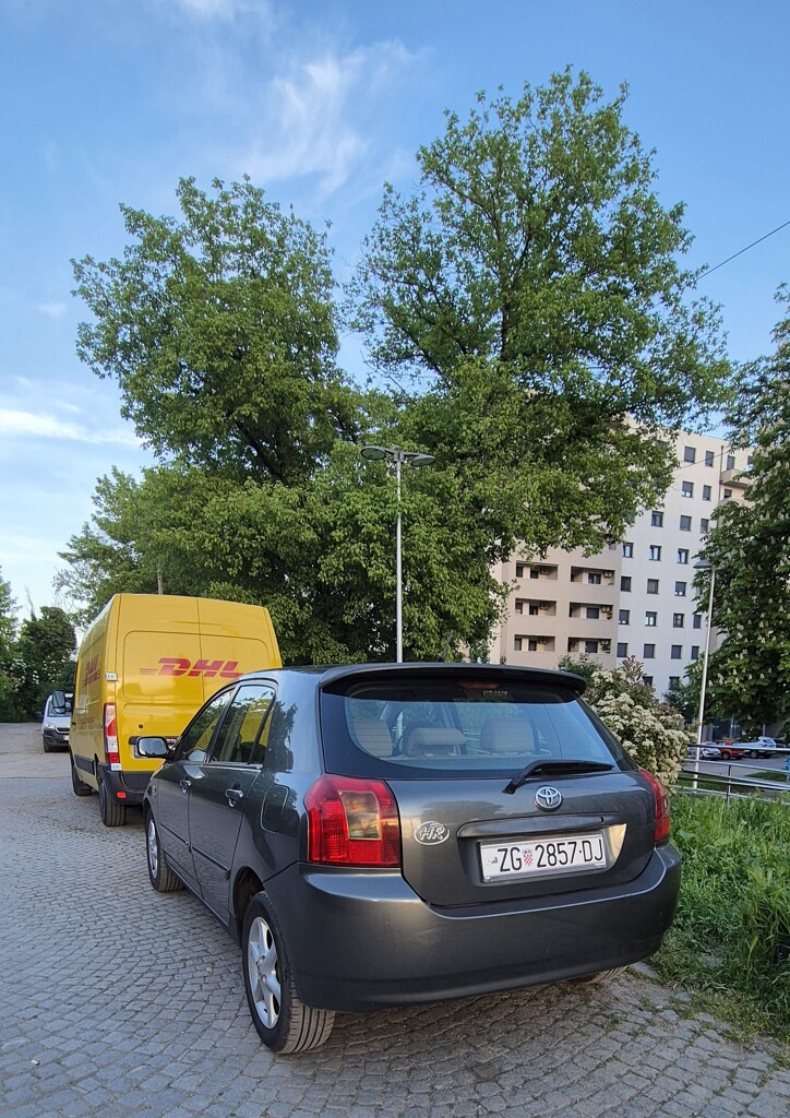 Image 12