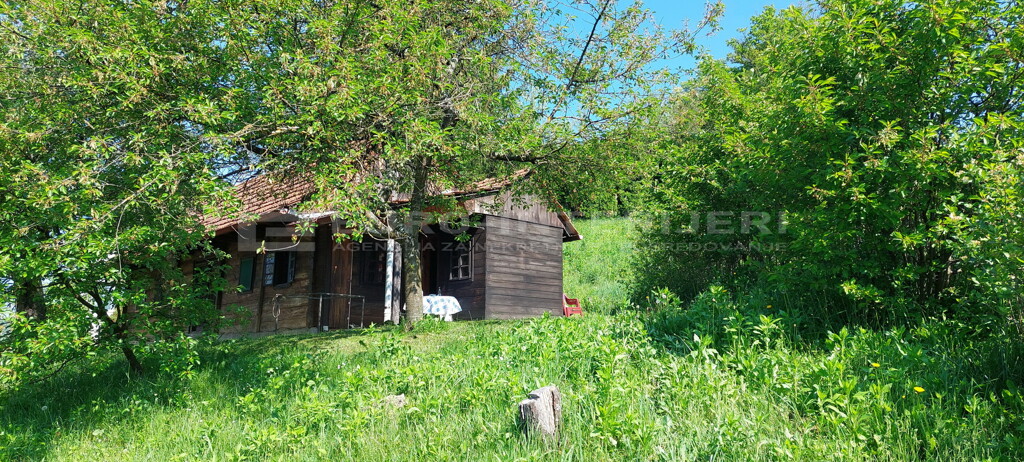 Image 6360534 - 6