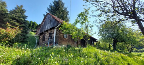 Thumbnail 6360534 - 4