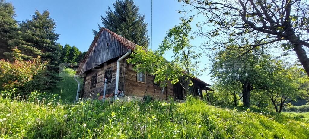 Image 6360534 - 4