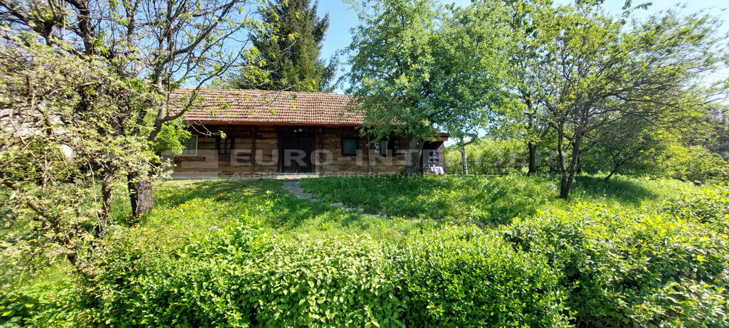 Image 6360534 - 2
