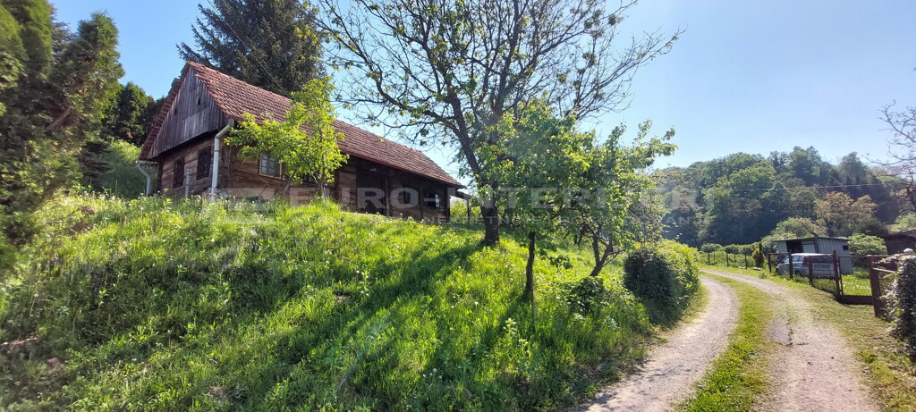 Image 6360534 - 1