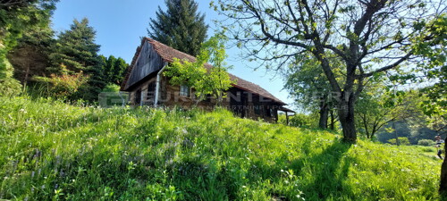 Thumbnail 6360534 - 3