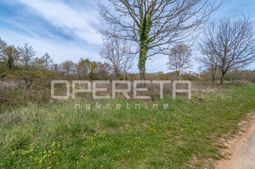 Image 6360655 - 5