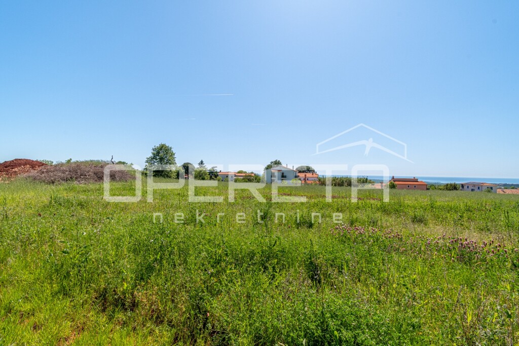 Image 6360659 - 3