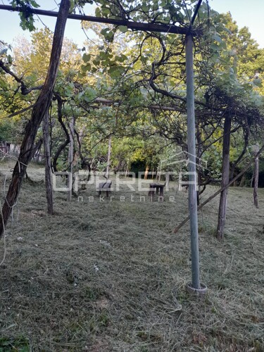 Thumbnail 6360666 - 6