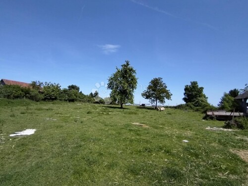 Thumbnail 6360796 - 4