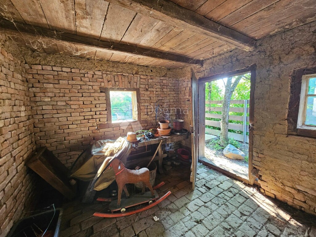 Image 21
