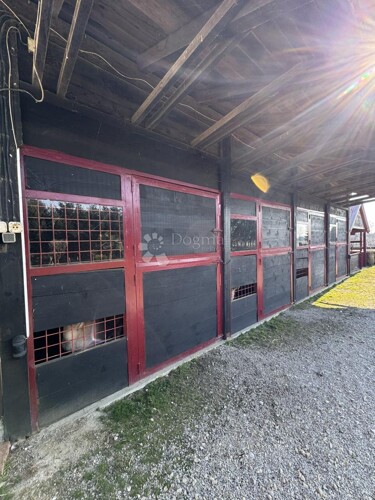 Thumbnail 6360804 - 17