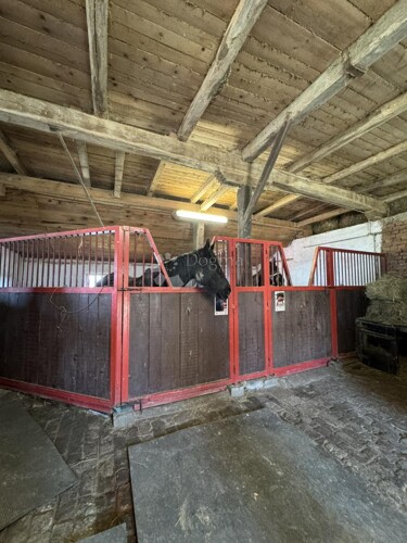 Thumbnail 6360804 - 13