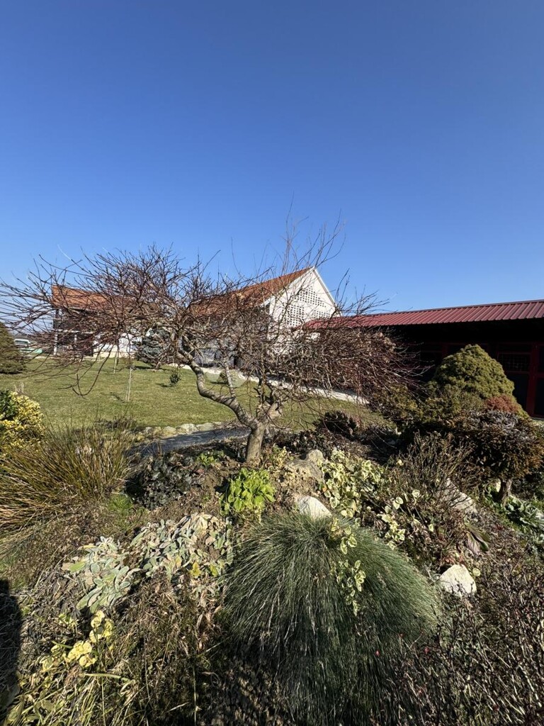 Image 6360804 - 2