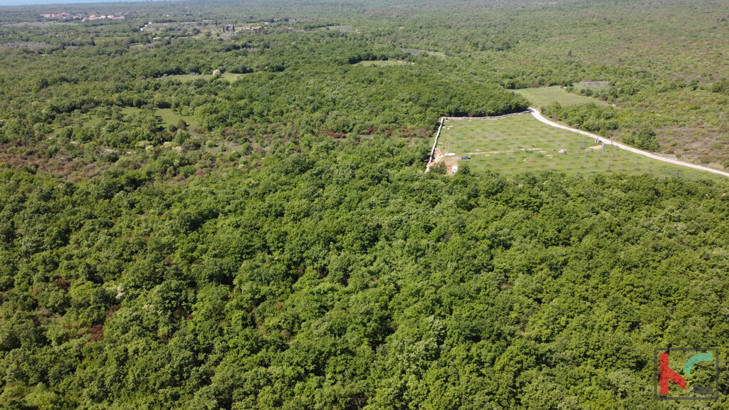 Image 6360815 - 3