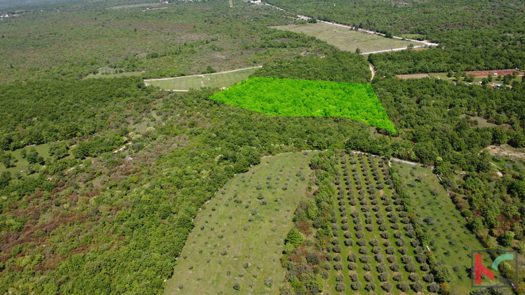Image 6360815 - 1